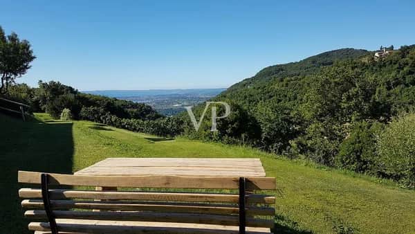 Splendid Lake View Farmhouse near Salò with Land & Olive Groves