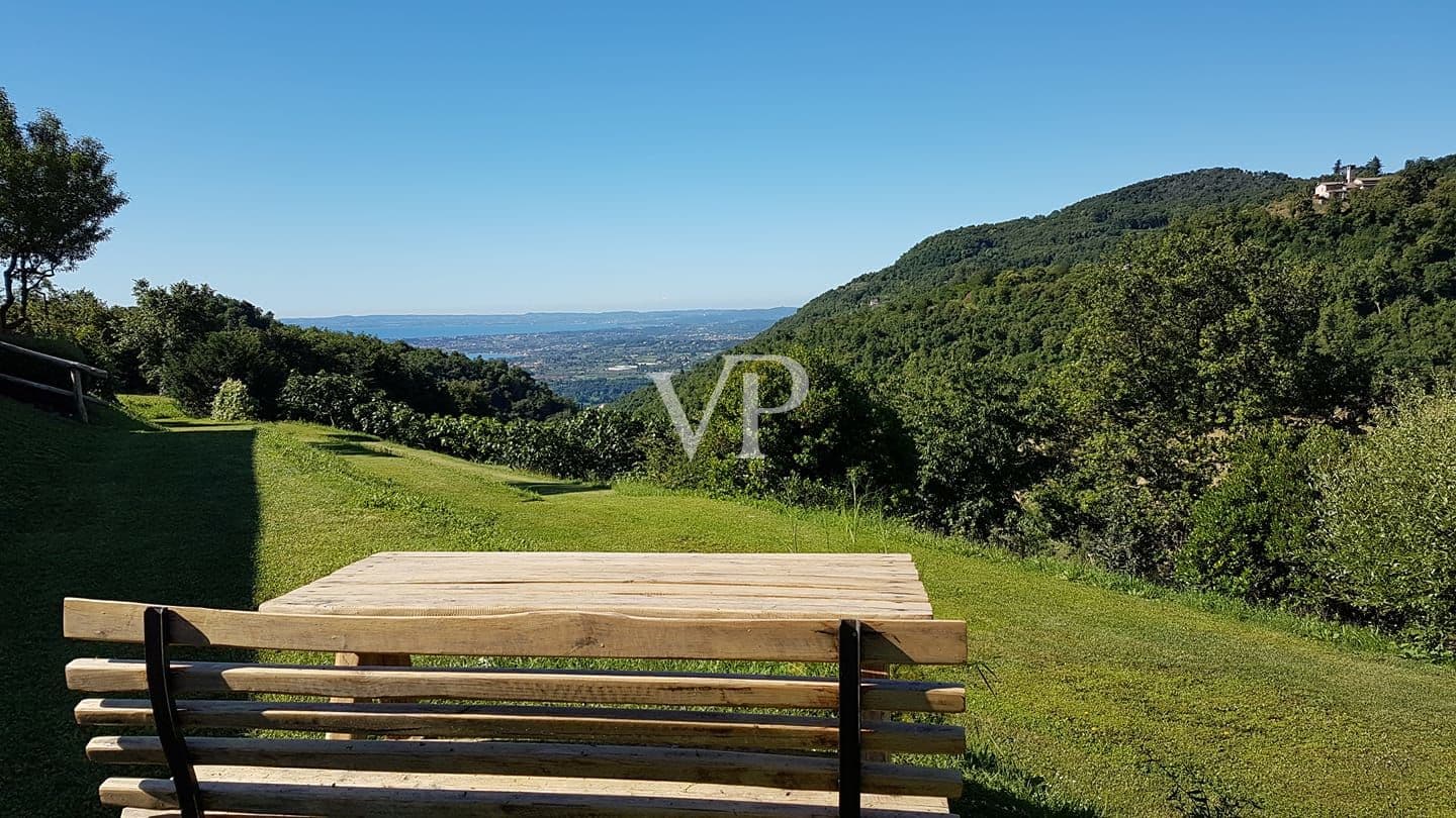 Splendid Lake View Farmhouse near Salò with Land & Olive Groves